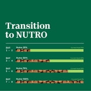 Nutro Natural Choice Puppy Food Dry Recipe Lamb & Brown Rice, 4.5 Lb Bag