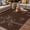 Brown Beige, variant on Retro Beige Flowers Outdoor Rug for Patio/Deck/Porch, Non-Slip Large Area Rug 4 x 6 Ft, Rustic Abstract Floral Simple Art Indoor Outdoor Rugs Washable Area Rugs, Reversible Camping Rug Carpet Runner