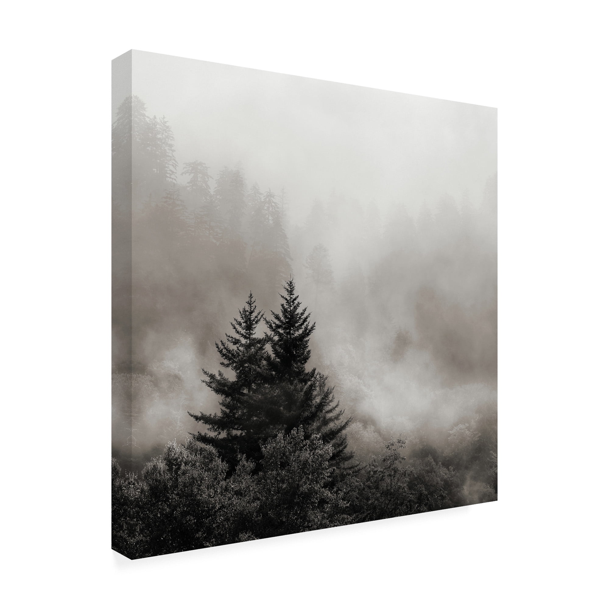 Trademark Fine Art 'Rising Mist, Smoky Mountains' Canvas Art by Nicholas Bel