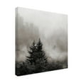 thumbnail image 2 of Trademark Fine Art 'Rising Mist, Smoky Mountains' Canvas Art by Nicholas Bel, 2 of 3