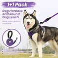 thumbnail image 6 of MASBRILL Dog Harness and Leash Set, No Pull Vest Harness, Reflective Adjustable Soft Padded Pet Harness with Handle for Small to Large Dogs, 6 of 8