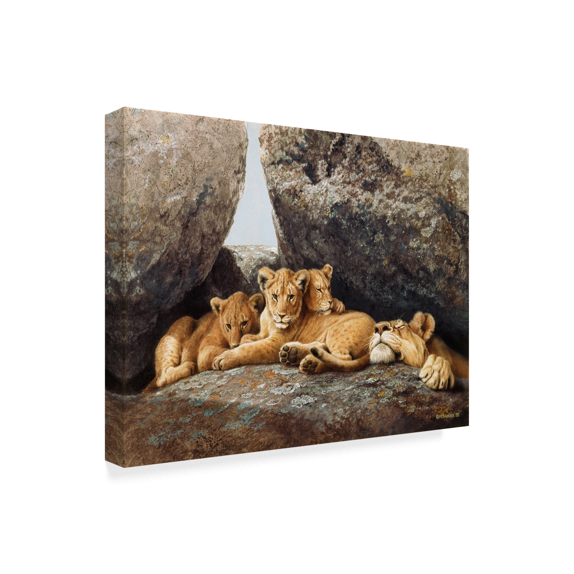 Trademark Fine Art 'Lioness With Cubs' Canvas Art by Harro Maass
