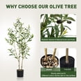 thumbnail image 4 of Ldnio Olive Tree Artificial 3.2 ft Olive Plant Indoor, Faux Plants with Realistic Leaf & Natural Wood Trunk, Fake Potted Tree for Home Office Living Room Decor, 4 of 9
