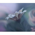 thumbnail image 2 of Nan, Juliana 23x20 Black Ornate Wood Framed with Double Matting Museum Art Print Titled - Behind Closed Eyes..., 2 of 4