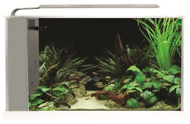 fluval spec freshwater kit