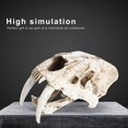 thumbnail image 4 of Skull Model Skull Specimens Simulation Animal Skull Model Resin Tiger Skull Model Interior Decoration Props Ornaments Tyrannosaurus Skull Dinosaur Specimens Resin Crafts Study Decoration, 4 of 6