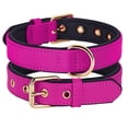 thumbnail image 4 of Beirui Strong Waterproof Nylon Dog Collar Soft Padded Adjustable with Metal Buckle S M, 4 of 13