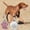 Pink#576, variant on RuiJiao Personalized Pet Tag Dog Tag Tag Alloy Metal Glitter Dog Tag Blank Dog Tag Pendant Engraved Pet Accessory