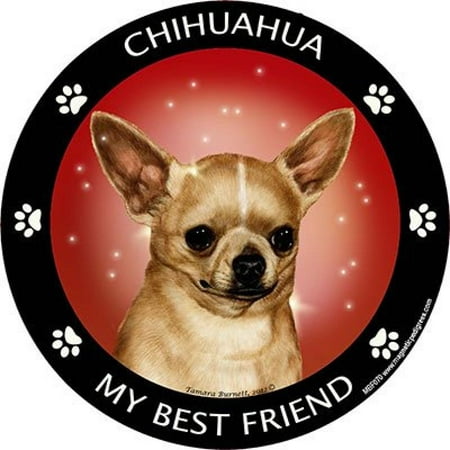 Chihuahua My Best Friend Magnet
