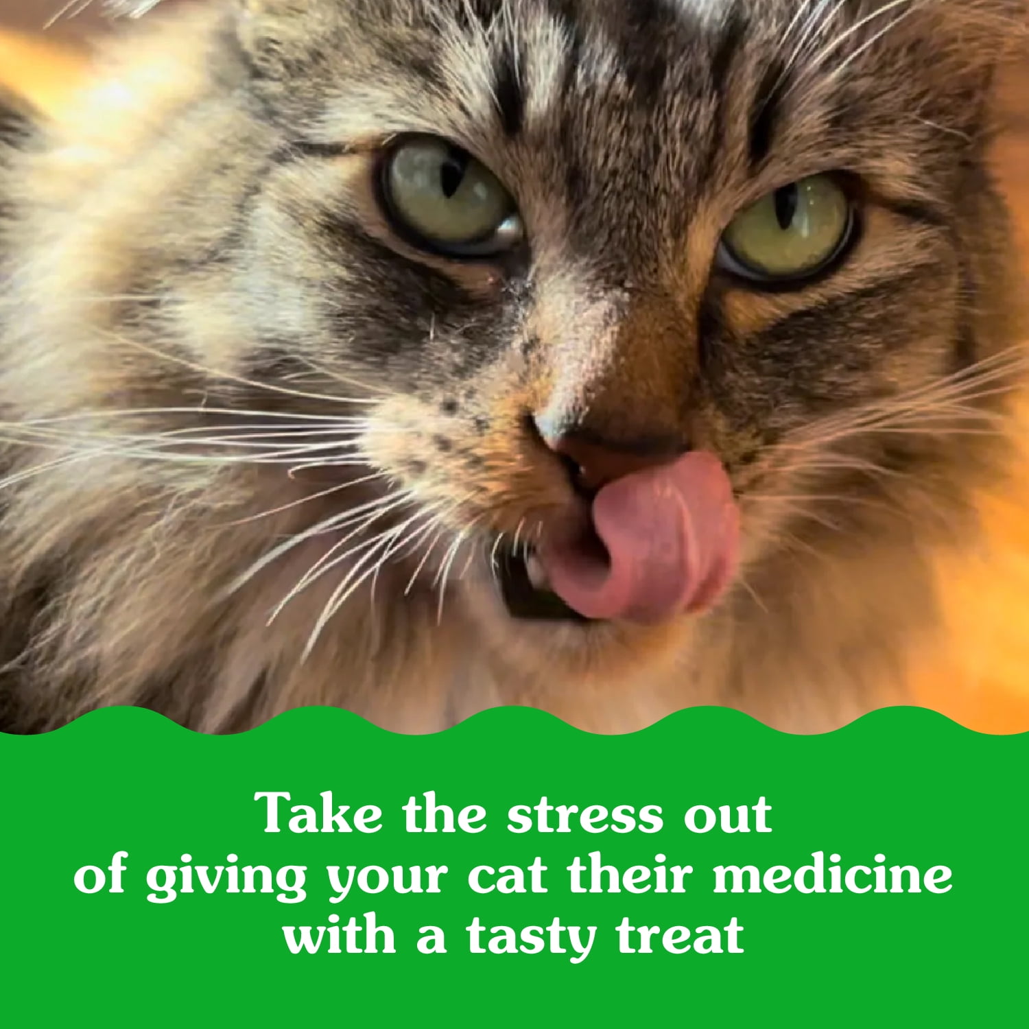 Feline Greenies Pill Pockets For Cats Natural Soft Cat Treats, Catnip Flavor, 1.6 Oz Pack (45 Treats)