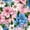 Color 1, variant on Peel and Stick Wallpaper Pink White Cherry Blossom Soft 24in x 118in Contact Paper Removable Self Adhesive Wall Mural Wall Decor for Bedroom Kitchen Cabinets
