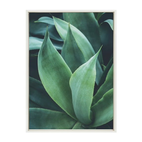 Kate and Laurel Sylvie Agave II Framed Canvas Art Print, 23" x 33", byF2 Images