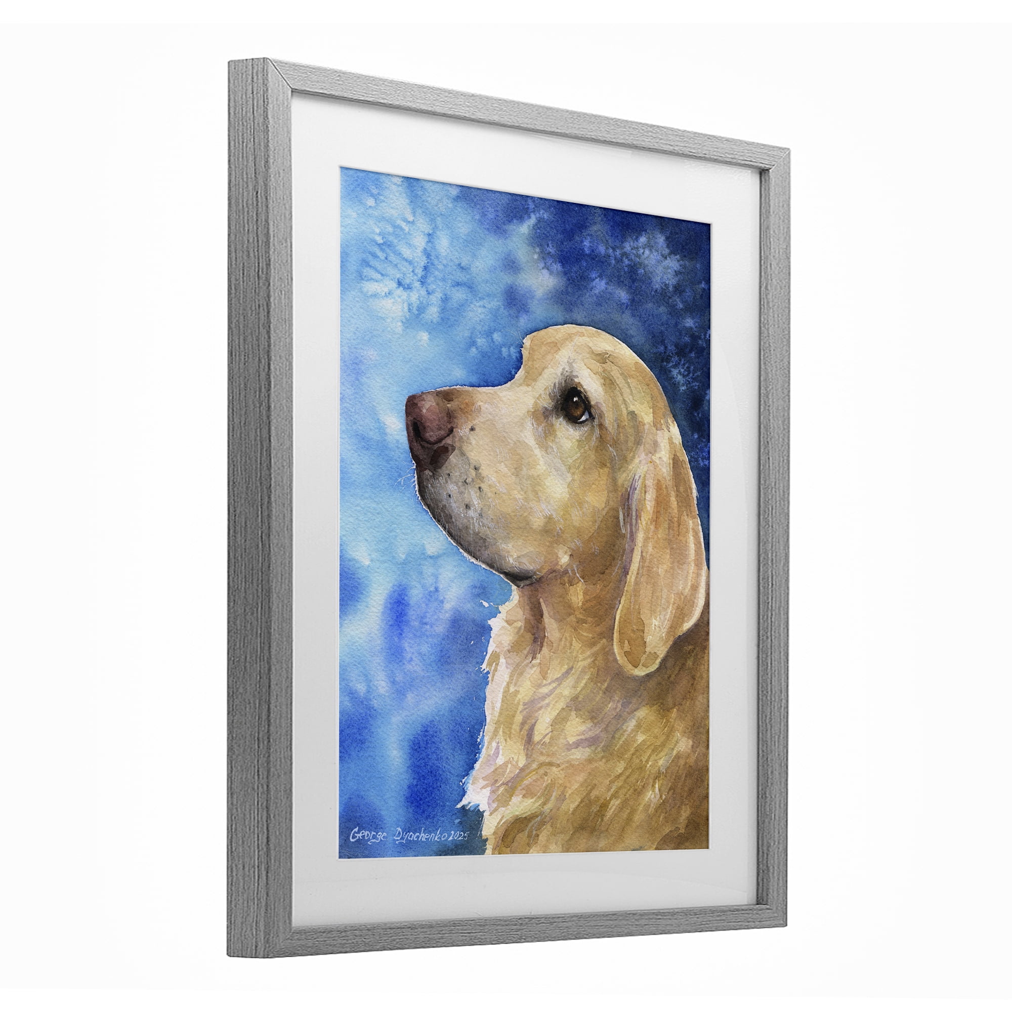 Stupell Industries Golden Retriever Portrait on Azure Gray Framed Print Under Glass, design by George Dyachenko