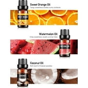 Aofmee Essential Oils Set, Rosemary Oil - Coconut, Orange Variety of Scents, for Use with Diffuser Oil, Aromatherapy, Relaxation, Candle Making Kit (6 X 10ML)