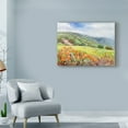 thumbnail image 3 of Trademark Fine Art 'Blooming Poppy 1' Canvas Art by Li Bo, 3 of 3