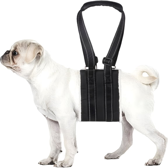 GASTROPOD 2026 New Adjustable Dog Lift Harness Dog Sling Portable Dog Sling for Back Legs Dog Lift Harness for Large Dogs Soft Lift Support Rehab Harness for Disabled Dogs After Acl Surgery (S)
