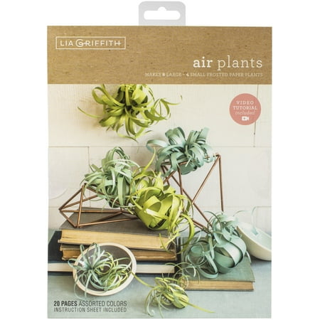 UPC: 0084001410013 | Lia Griffith Paper Stack 8.5 X11 24/Pkg-Airplants