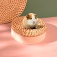 thumbnail image 4 of Summer Cool Rattan Mat Wear-resistant Anti-bite Round Sleeping Bed For Hamster Golden Silk Bear Rabbit, 4 of 9