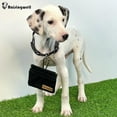 thumbnail image 5 of Raisingwell Dog Treat Pouch, Black Pocket Sized Pet Training Pouch, Cotton Fabric, Hand Free Dog Walking Bag with Carabiner, Self-Closing Pet Feed Snack Reward, for Pet Puppy Travel or Outdoor Use, 5 of 5