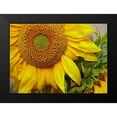 thumbnail image 2 of Fitzharris, Tim 14x11 Black Modern Framed Museum Art Print Titled - Sunflowers, 2 of 5