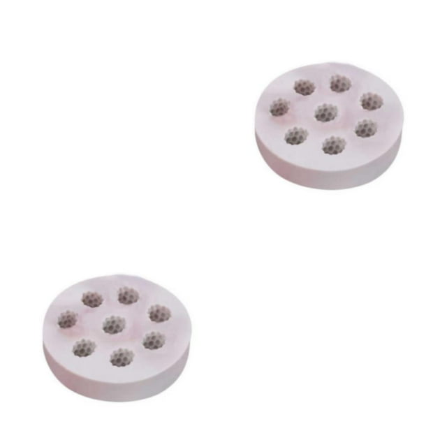 Billuyoard Reemplazo de molde para Fondant con forma de fruta, resistente al calor, reutilizable, lavable, para Chocolate, DIY, accesorios para Frambuesa 2Conjunto