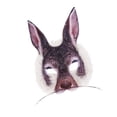 thumbnail image 3 of Máscara de animales de Pascua Zulema 25cmx15cm, 3 of 8