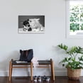 thumbnail image 4 of Two Kittens Asleep, Animals Unframed Photographic Print Wall Art Sold by Art.Com, 4 of 4
