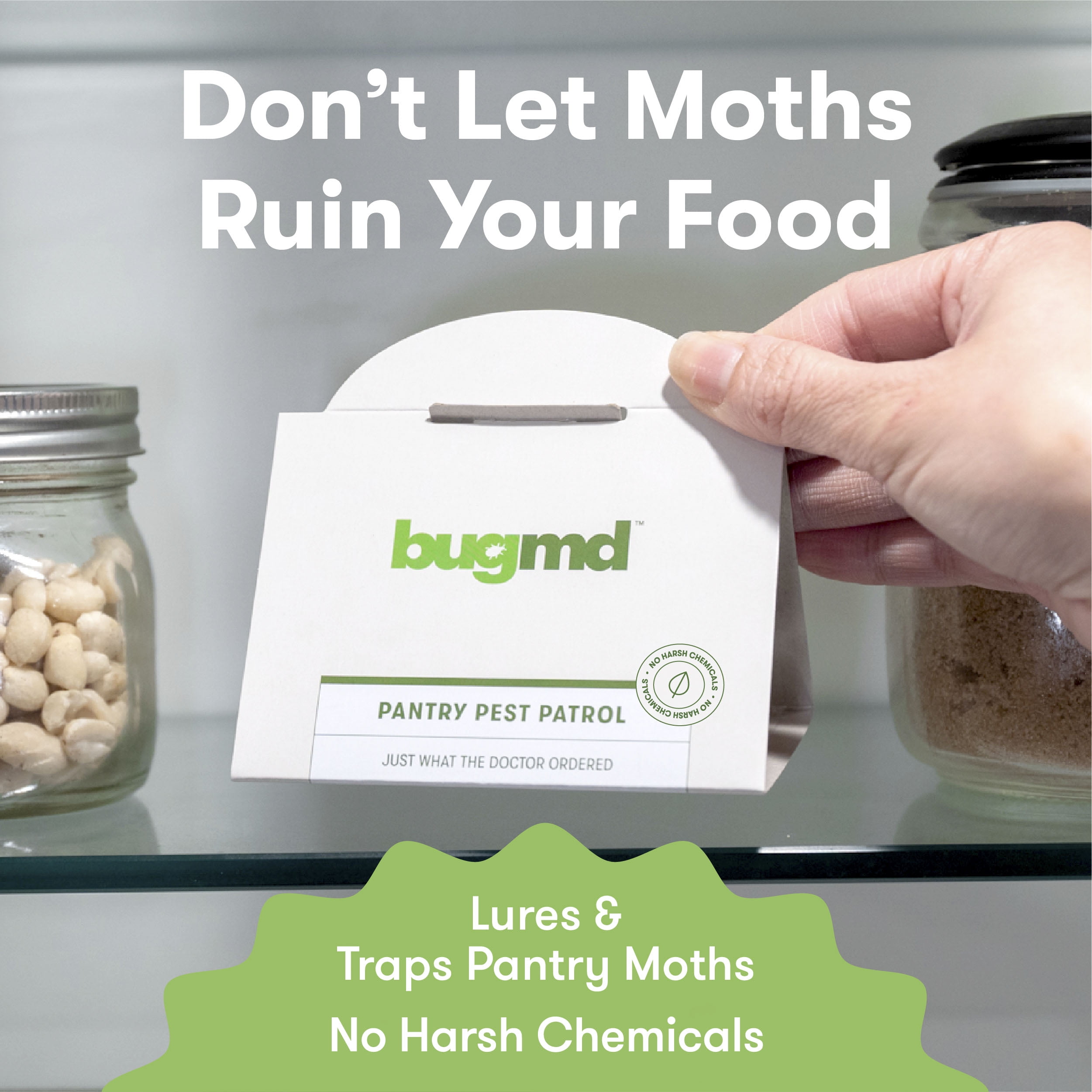 BugMD Pantry Pest Patrol  Pheromone & PermaGlue Moth Traps – bugmd