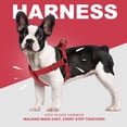 thumbnail image 4 of Pet Artist Soft PU Leather Step-in Dog Harness - No Pull Adjustable Vest w/ Brass Buckle, for Small & Medium Breeds, 4 of 6
