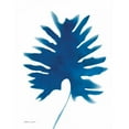 thumbnail image 3 of Marrott, Stephanie 15x18 Black Modern Framed Museum Art Print Titled - Tropical Leaf in Blue, 3 of 5