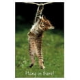 thumbnail image 1 of Famous Kitten Hang In There Poster Wall Poster, 22.375" x 34", 1 of 5