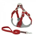 thumbnail image 1 of POINTERTECK No Pull Dog Harness Reflective Dog Harness And Leash Set  Escape Proof Adjustable Dog Training Lead Set For Dogs, 1 of 6