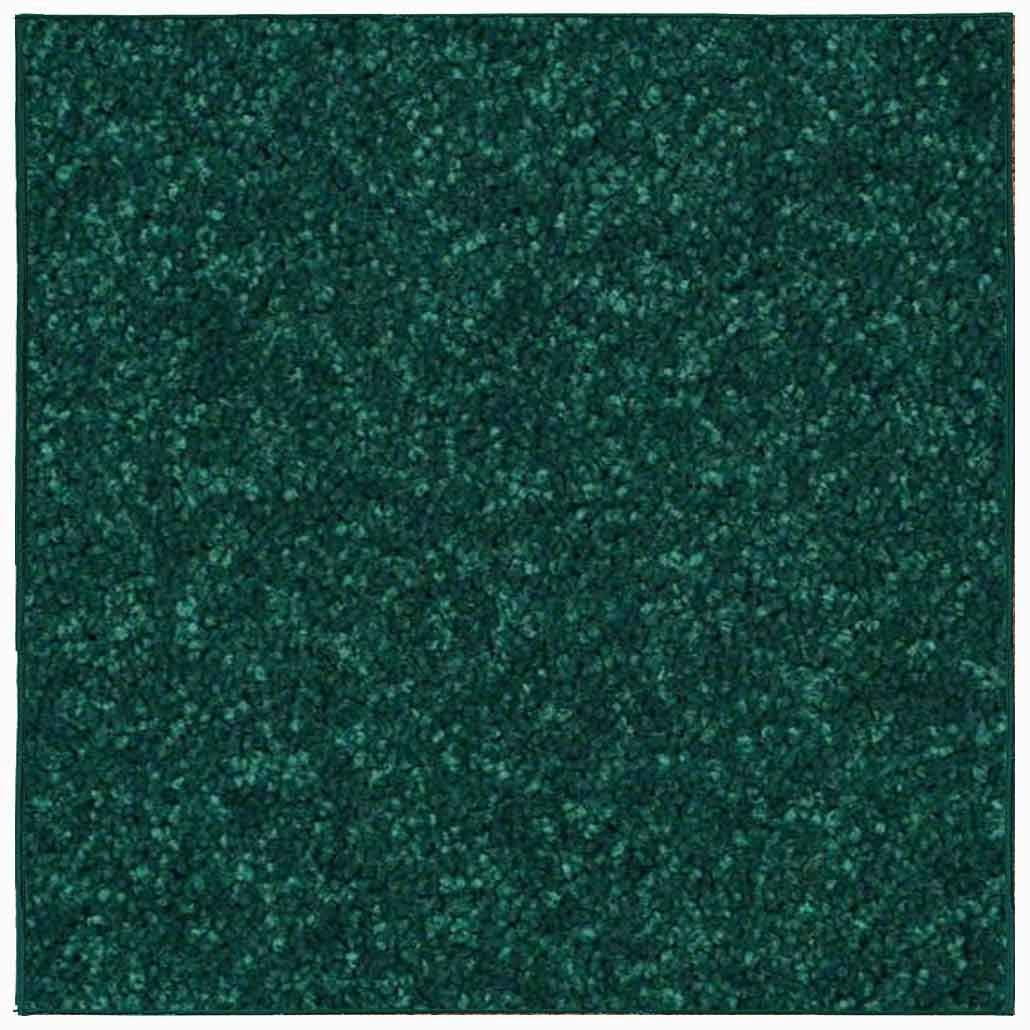 Solid Color Area Rugs Images
