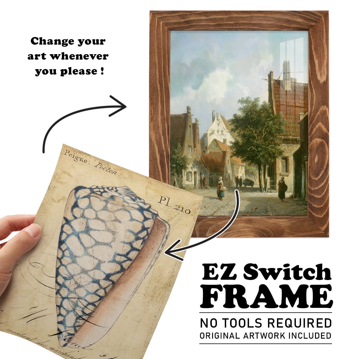 Seashell Ephemera IV - Framed Print w/glass - Walnut