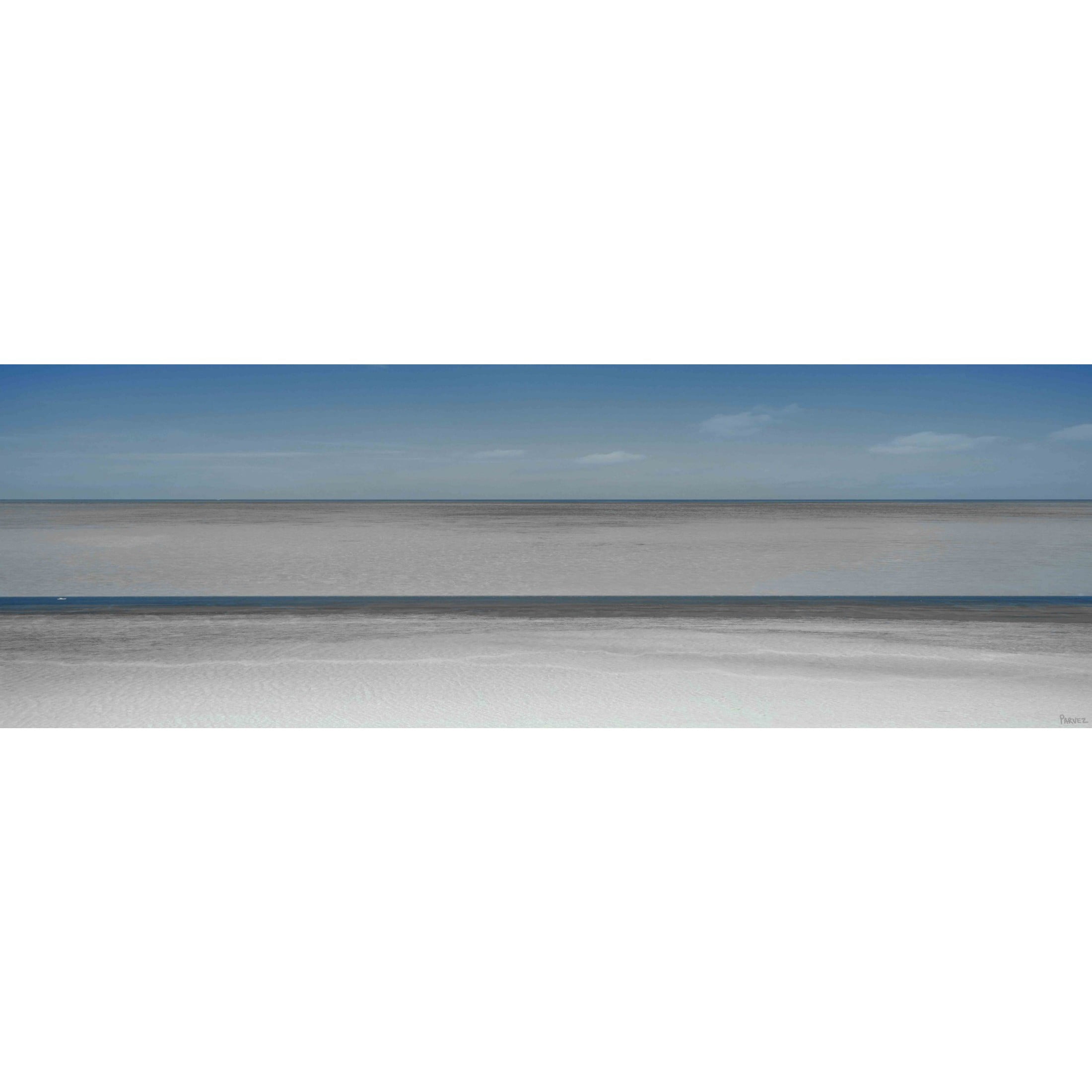 Parvez Taj "Grey Water" Print on Canvas