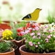 thumbnail image 2 of Medidor de humedad del suelo Bonsai, higrómetro con forma de pájaro, alertas de riego de jardín con aguja Hugtrwg Para estrenar, 2 of 8