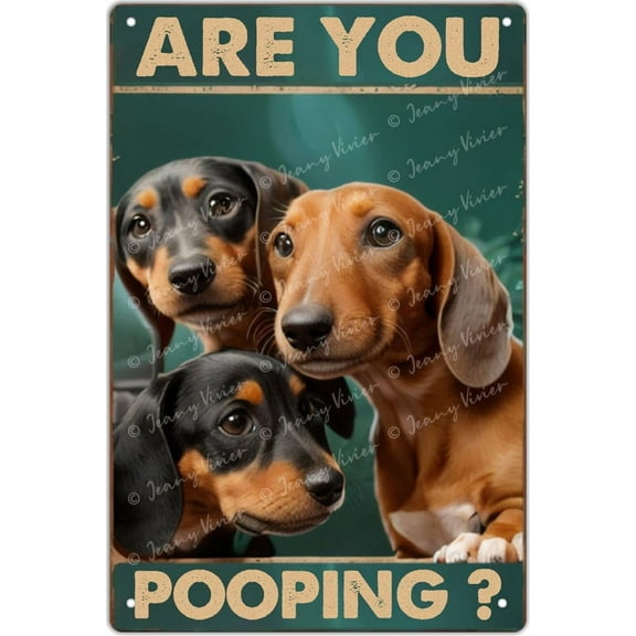 Dachshund are You Pooping Funny Metal Signs, Novelty Restroom Bathroom Wall Decor, Dog Lovers Gift, Vintage Room Decor Aesthetic Wall Art Creative Tin Sign, 12x8 Inch