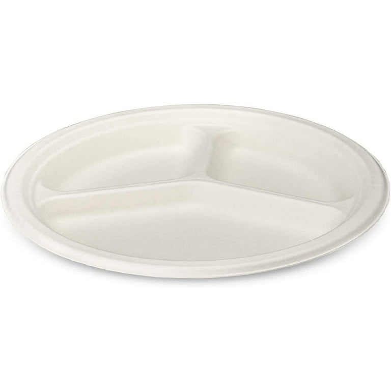 I00000 Heavy Duty 100% Compostable 10 Inch Paper Plates, 100 Pack