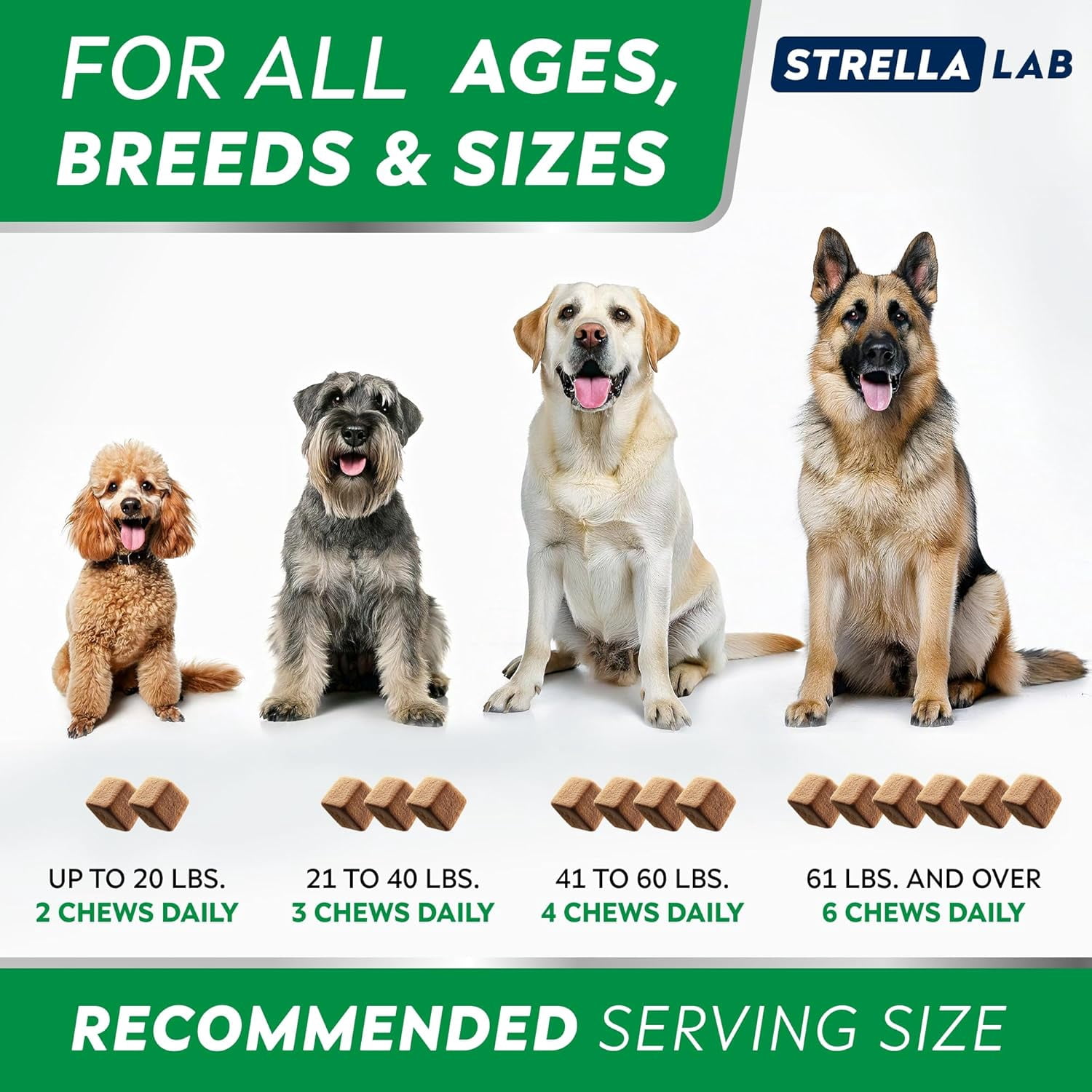 StrellaLab Dog Allergy Relief & Anti Itch Relief for Dogs Chews with Omega 3 - Skin & Coat Immune Supplement with Fish Oil, Pumpkin & Enzymes — Developed by Experts - Made in USA - 180 Count