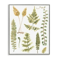 Stupell Industries Varied Fern Leaves Botanical & Floral Painting Gray Framed Art Print Wall Art, 24 x 30