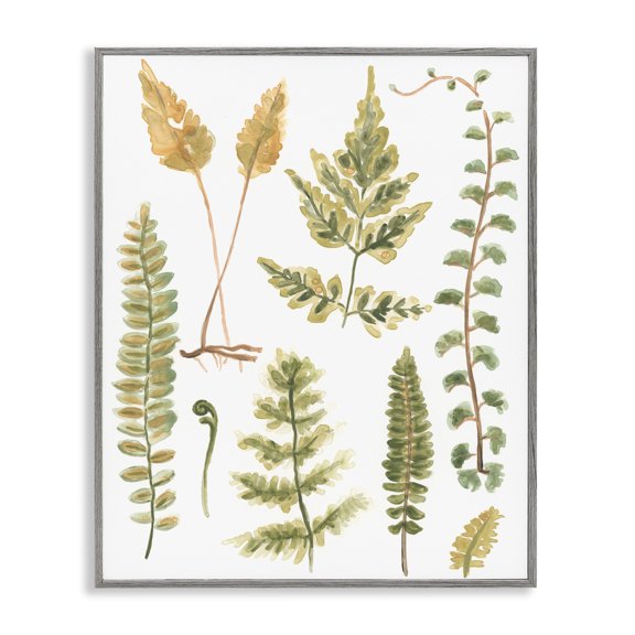 Stupell Industries Varied Fern Leaves Botanical & Floral Painting Gray Framed Art Print Wall Art, 24 x 30
