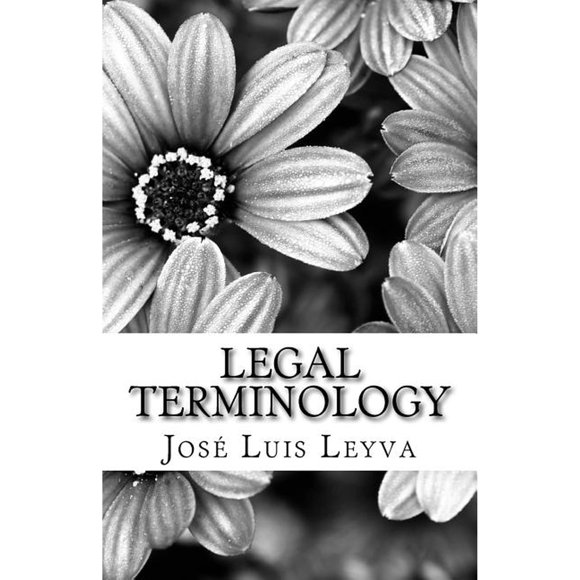Legal Terminology: English-Spanish LEGAL Terms Paperback 1727514068 9781727514063 Jos Luis Leyva