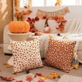 thumbnail image 4 of Fall Pillow Covers 18x18 Set of 2 Orange White Pumpkin Autumn Thanksgiving Harvest Farmhouse Decorations for Outdoor Throw Pillow for Home Couch HT-001B, 4 of 6