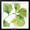 thumbnail image 5 of Art.com Blue and Green Garden VII Art Print by Lisa Audit, Black Frame Wall Art, 38" x 38", 5 of 5
