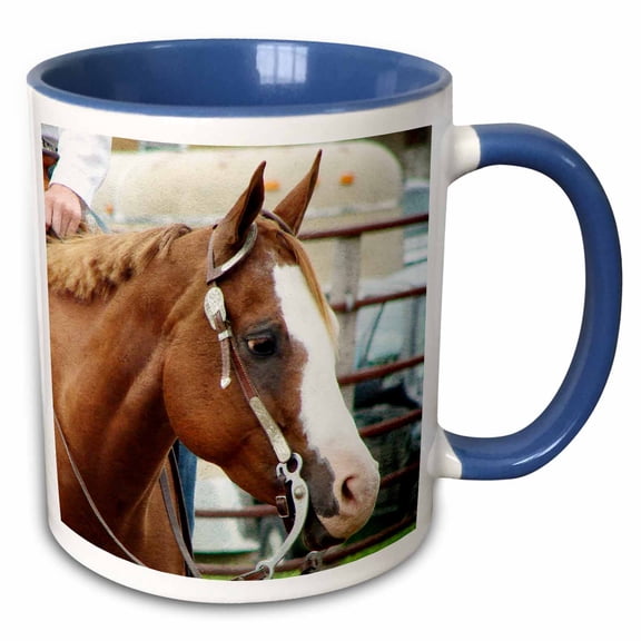 3drose, Western Horse Show, 11oz Two-tone Blue Mug