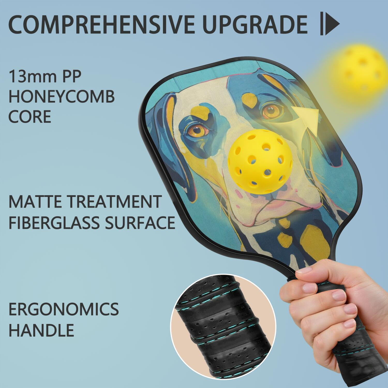 Pickleball Paddles Set Of 2, Fiberglass Surface, Astonished Dog Print, 4 Balls & Bag