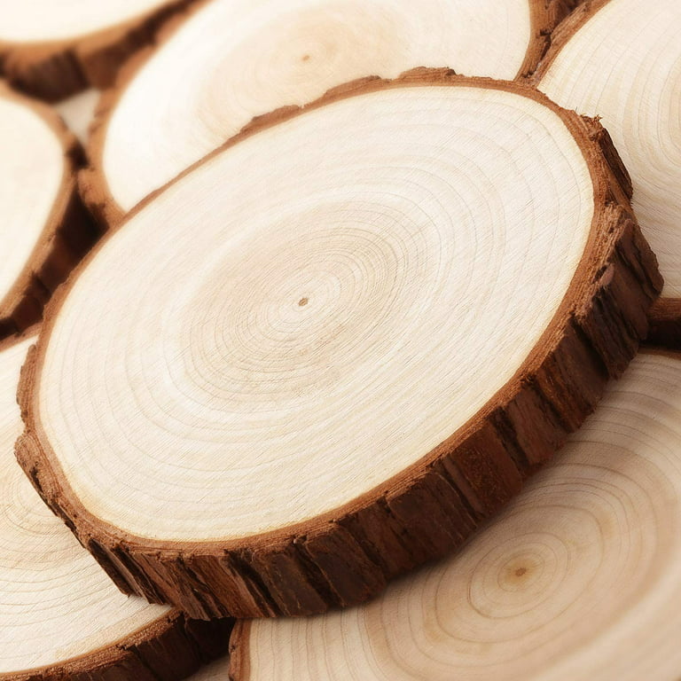 Pllieay 10Pcs 5.5-6 Inch Wood Slices, Unfinished Natural Craft Wooden  Circles Tree Slice for DIY Crafts Wedding Decorations Holidays Ornaments  Arts