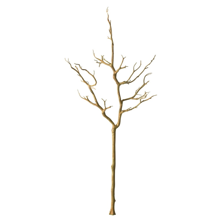 Bare Birch Branch by Ashland® 