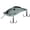 Green Gizzard, variant on Bill Lewis Hammer Flat Crank Crankbait Fire Craw