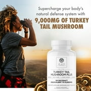 DR. EMIL NUTRITION Elite Turkey Tail Mushroom Plus, 30 Servings, 2 Pk